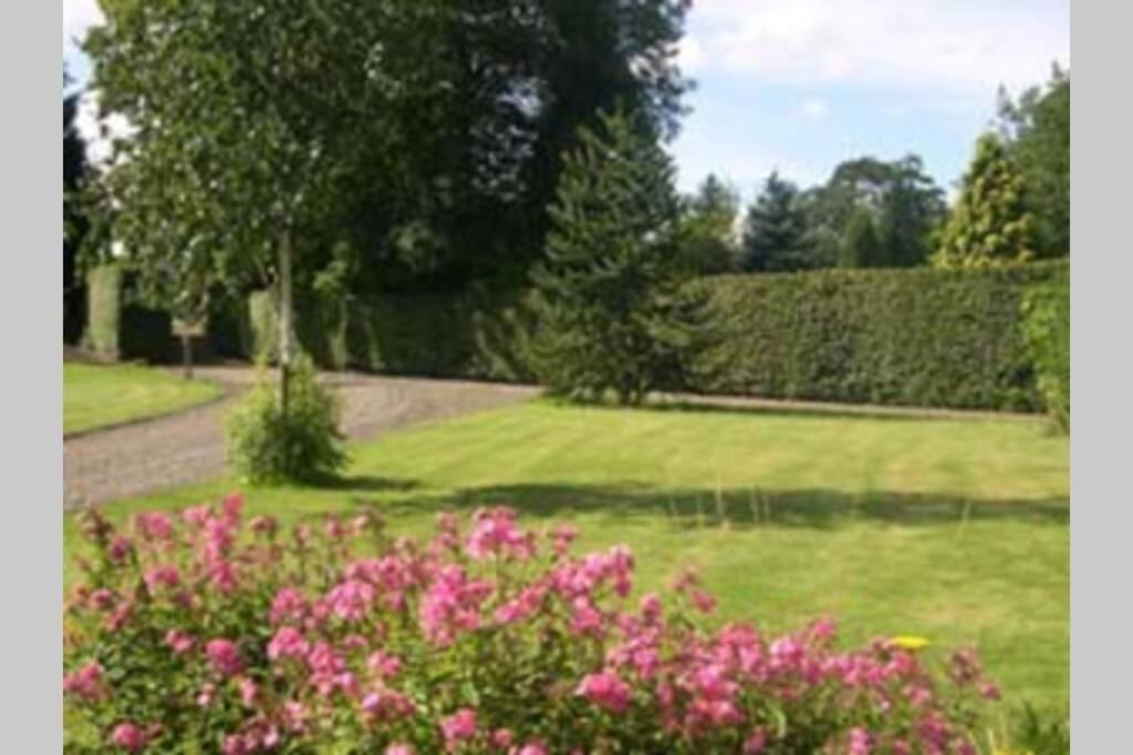 Harleyburn Cottages - Stables And Saddlery 梅尔罗斯 外观 照片